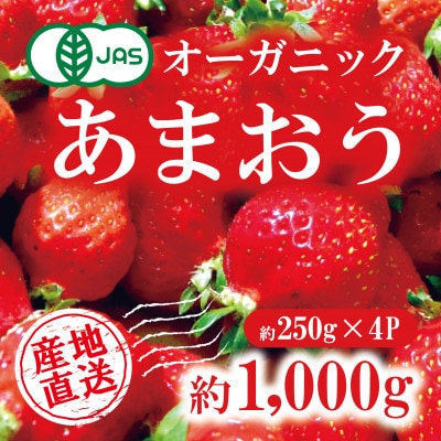 有機あまおう約250g×4パック