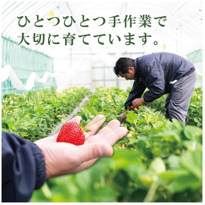 有機あまおう約250g×4パック