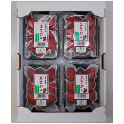 有機あまおう約250g×4パック