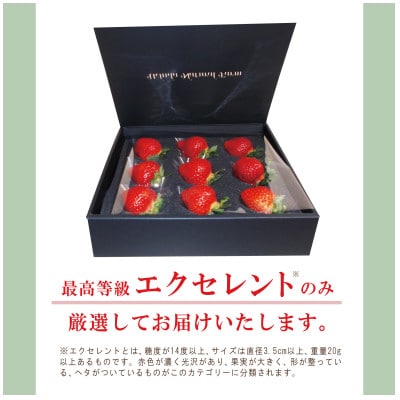 【贈答用】有機あまおう　9粒