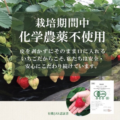 【贈答用】有機あまおう　9粒