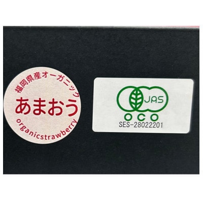 【贈答用】有機あまおう　9粒