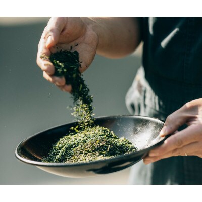 いつきの茶・在来種セット