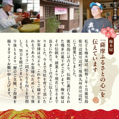 「懐かしかー」かごっま名菓たもいやんせセット