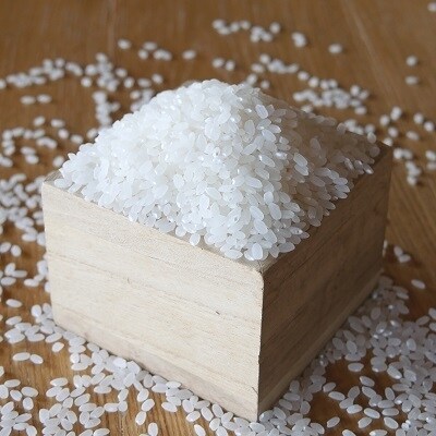 【お米の定期便】鹿児島県産ひのひかり5kg×12か月!
