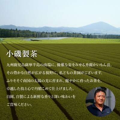 知覧銘茶　かいもんみどり5本セット