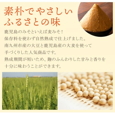 手作り麦みそ900g×6個