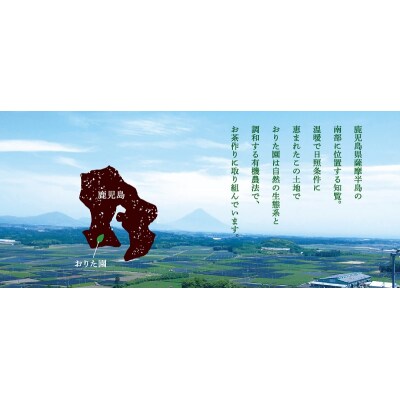 おりた園特上深蒸し茶3本セット