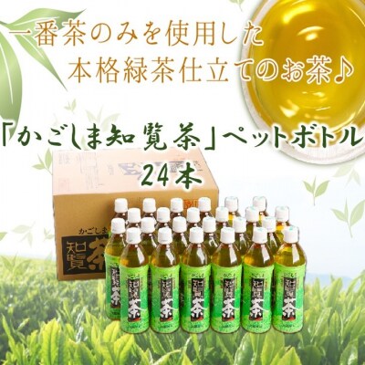 かごしま知覧茶ペットボトル24本 | ふるさと納税のお礼品