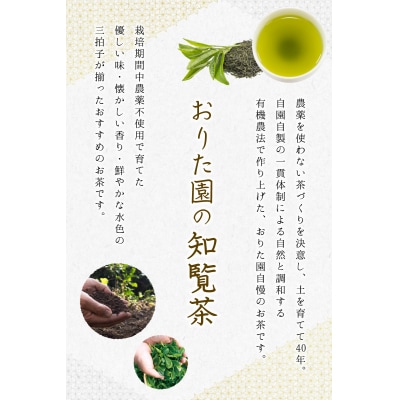 おりたの知覧茶3本セット