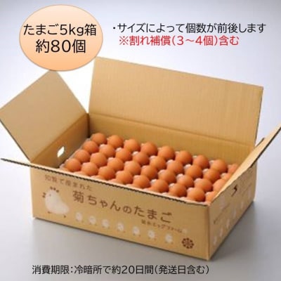菊ちゃんのたまご5kg箱