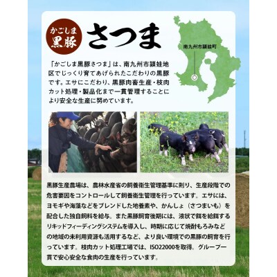 「かごしま黒豚さつま」餃子64個セット