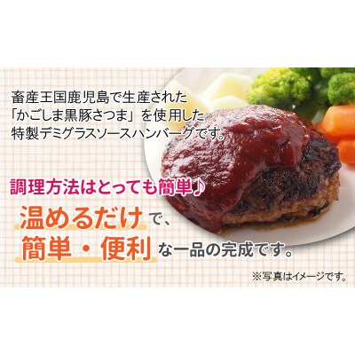 「かごしま黒豚さつま」デミグラスハンバーグ10個セット