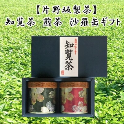 【片野坂製茶】知覧茶　煎茶　沙羅缶ギフト