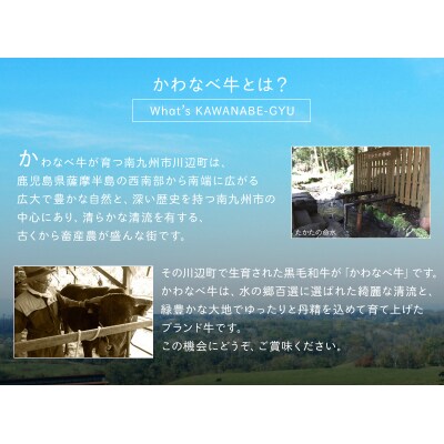 4等級以上!鹿児島県産黒毛和牛ヒレステーキ2枚