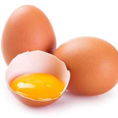 【全12回】毎月お届け!菊ちゃんのたまご(特級卵)定期便