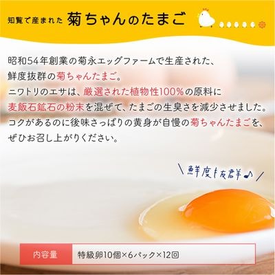 【全12回】毎月お届け!菊ちゃんのたまご(特級卵)定期便
