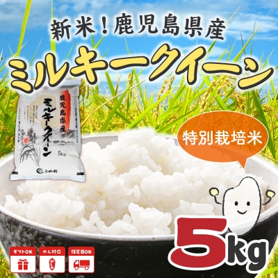 令和7年鹿児島県産ミルキークイーン5kg