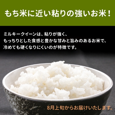 令和7年鹿児島県産ミルキークイーン5kg
