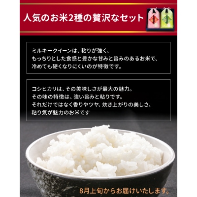 令和7年産新米!鹿児島県産米2種食べ比べセット