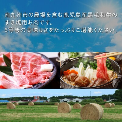 鹿児島県産黒毛和牛5等級モモ赤身すき焼600g