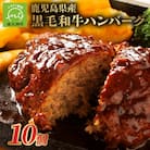 鹿児島県産黒毛和牛ハンバーグ10個 合計 1.5kg