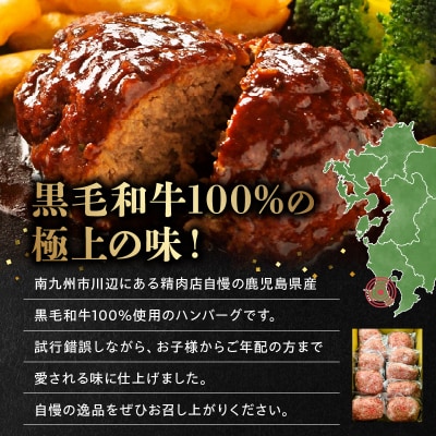 鹿児島県産黒毛和牛ハンバーグ10個 合計 1.5kg