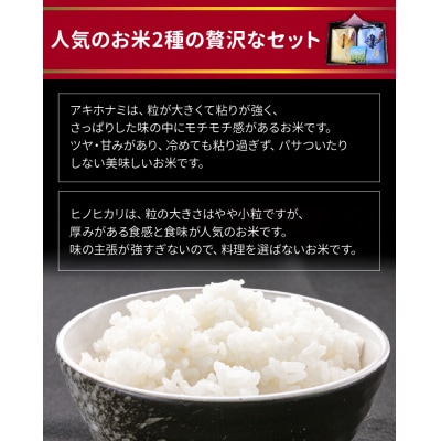 鹿児島県産米2種食べ比べセット