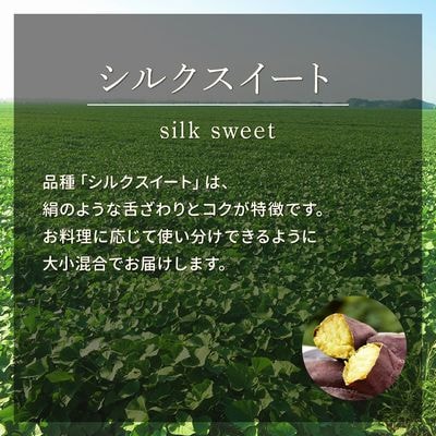 さつまいも「シルクスイート」5kg