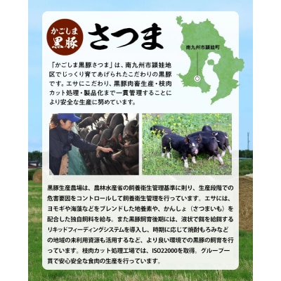 「かごしま黒豚さつま」デミグラスハンバーグ20個セット