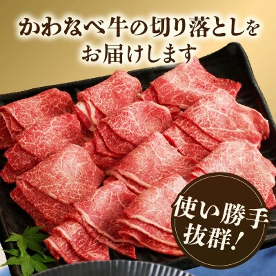 A4ランク以上!かわなべ牛切り落とし500g