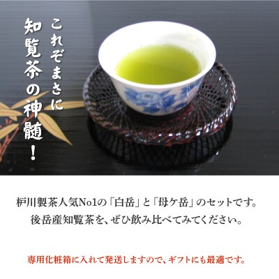 後岳産 枦川製茶の知覧茶飲み比べセット