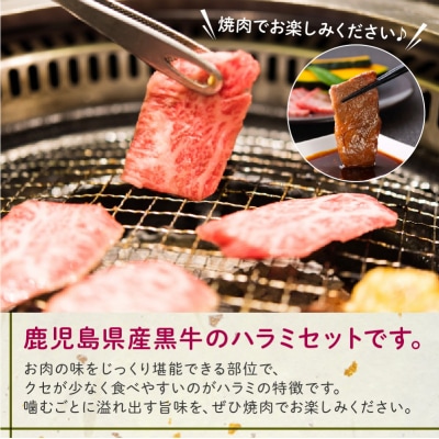 鹿児島県産黒毛和牛ハラミ300g