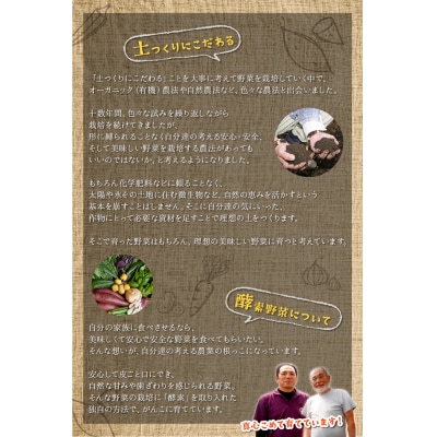 酵素栽培人参ジュース720ml×6本