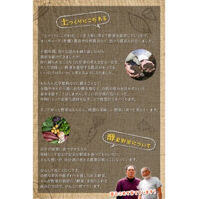 酵素栽培人参ジュース720ml×2本