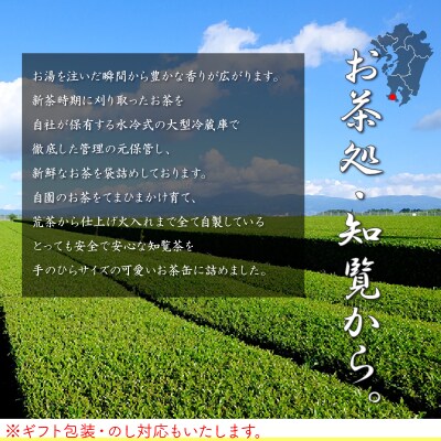 片野坂製茶 知覧茶煎茶なつめ缶ギフト