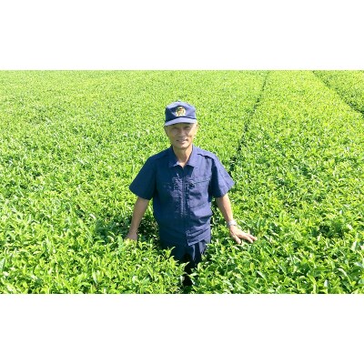 片野坂製茶 知覧茶煎茶なつめ缶ギフト