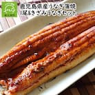 鹿児島県産うなぎ蒲焼1尾&きざみうなぎセット