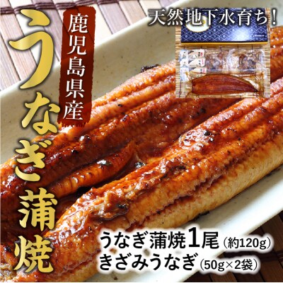 鹿児島県産うなぎ蒲焼1尾&きざみうなぎセット