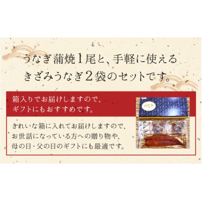 鹿児島県産うなぎ蒲焼1尾&きざみうなぎセット