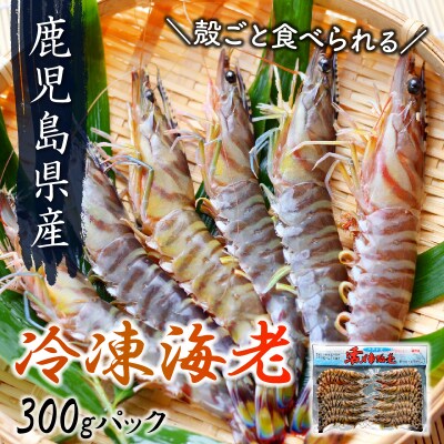 殻ごと食べられる冷凍車海老　300gパック