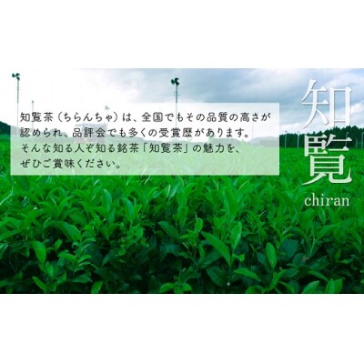 お茶で健康一番!知覧厳選緑茶ティーバッグ4本セット