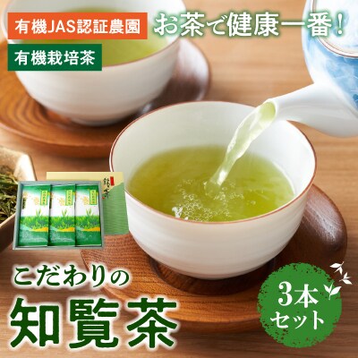お茶で健康!こだわりの知覧茶3本セット