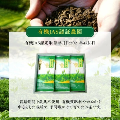 お茶で健康!こだわりの知覧茶3本セット
