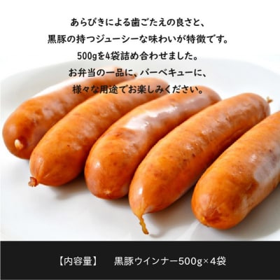 鹿児島黒豚ウインナー2kgセット