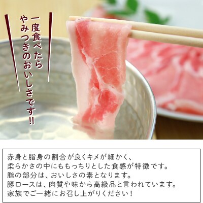 鹿児島黒豚下ロース&肩ロース500g