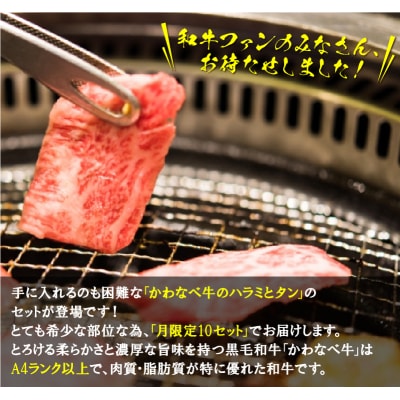 数量限定!かわなべ牛ハラミ・牛タンセット