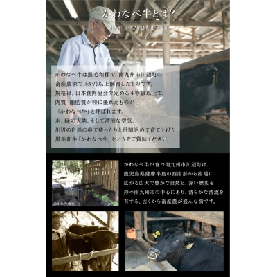 数量限定!かわなべ牛ハラミ・牛タンセット