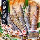 鹿児島県産特大冷凍車海老300g