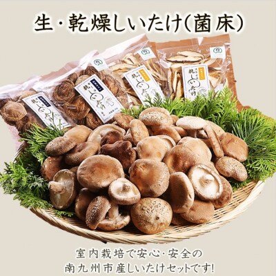 生しいたけ1kg・乾燥しいたけ4袋